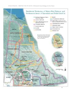 WILD SPACES – PROTECTED PLACES: A Protected Areas Strategy for the Yukon  Traditional Territories of Yukon First Nations and Settlement Areas of Inuvialuit and Tetlit Gwich’in SELKIRK