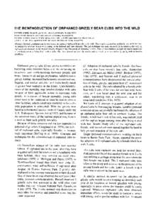 THE REINTRODUCTIONOF ORPHANED GRIZZLYBEAR CUBS INTO THE WILD CHARLES JONKEL, Border Grizzly Project, University of Montana, Missoula[removed]PETER HUSBY, Border Grizzly Project, University of Montana, Missoula[removed]RICHAR