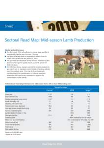 Sheep  Sectoral Road Map: Mid-season Lamb Production Market and policy issues ■ The EU is only 75% self-sufficient in sheep meat and this is projected to decline over the next 10 years.
