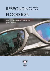 Responding to flood risk - surface water flooding case study