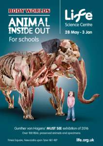 28 May - 3 Jan  For schools Gunther von Hagens’ MUST SEE exhibition of 2016 Over 100 REAL preserved animals and specimens