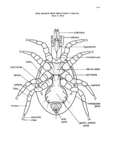 41.  MITE DIAGRAM WITH STRUCTURES LABELED Harry D. Pratt  \------chelicera