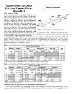 Lake Erie Yellow Perch Task Group - Executive Summary Report - March 2008