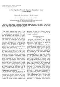 Caribbean Journal of Science, Vol. 31, No. 1-2, 65-72, 1995 Copyright 1995 College of Arts and Sciences University of Puerto Rico, Mayaguez