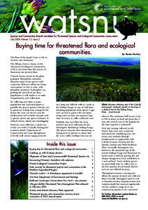 Species and Communities Branch newsletter for Threatened Species and Ecological Communities conservation July 2006 Volume 12, Issue 2 Buying time for threatened flora and ecological communities.