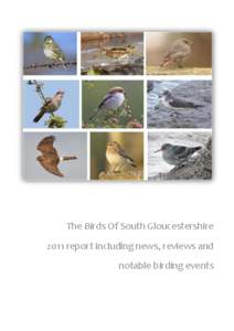 The Birds Of South Gloucestershire 2011 report including news, reviews and notable birding events P a g e |2