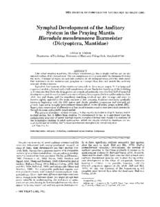 THE JOURNAL OF COMPARATIVE NEUROLOGY 364:[removed]Nymphal Development of the Auditory