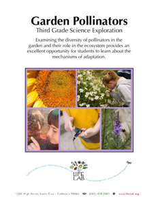 Garden Pollinators Third Grade Science Exploration Examining the diversity of pollinators in the garden and their role in the ecosystem provides an excellent opportunity for students to learn about the