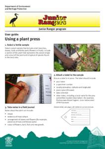 Junior Rangers user guide: Using a plant press