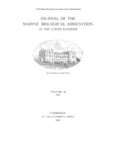 © The Marine Biological Association of the United Kingdom  JOURNAL OF THE MARINE BIOLOGICAL ASSOCIATION OF THE UNITED KINGDOM