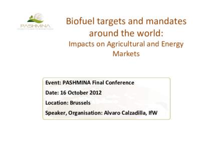 Biofuel targets and mandates around the world: Impacts on Agricultural and Energy Markets  Event: PASHMINA Final Conference