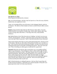 One Species at a Time Marine iguanas (Amblyrhynchus cristatus) Ari: I’m Ari Daniel Shapiro, and this is the One Species at a Time, the story of Earth’s biodiversity, one organism at a time. Today, we’re heading off