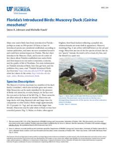 WEC 254  Florida’s Introduced Birds: Muscovy Duck (Cairina moschata)1 Steve A. Johnson and Michelle Hawk2