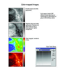 Color-mapped images Positive black and white (grayscale) 8 bit images contain 256 different values that may be represented by 256 shades of