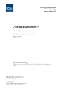 Vägledning - Alpina kalkgräsmarker