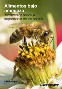 Alimentos bajo amenaza Testimonios sobre la importancia de las abejas