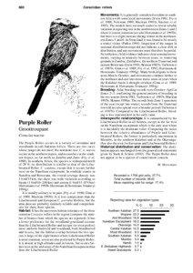 Coracias / Roller / Biome / Coraciidae / Ornithology / Purple Roller
