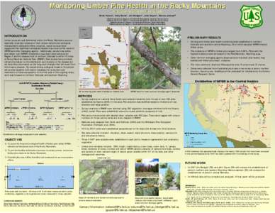 Monitoring Limber Pine Health in the Rocky Mountains