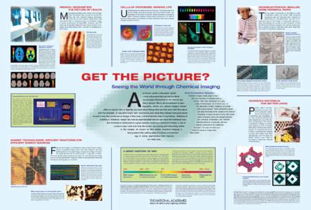 Medical Diagnostics: The Picture of Health M  ost people probably aren’t aware that the diagnostic procedures they undergo at the doctor’s