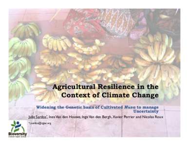 Agricultural Resilience in the Context of Climate Change Widening the Genetic basis of Cultivated Musa to manage Uncertainty Julie Sardos*, Ines Van den Houwe, Inge Van den Bergh, Xavier Perrier and Nicolas Roux *j.sardo