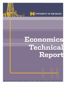 Economics Technical Report H Y D R A U L I C