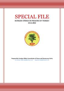 SPECIAL FILE HUNGER STRIKE IN PRISONS OF TURKEY[removed]Prepared by Foreign Affairs Commission of Peace and Democracy Party For contact: [removed] - [removed]