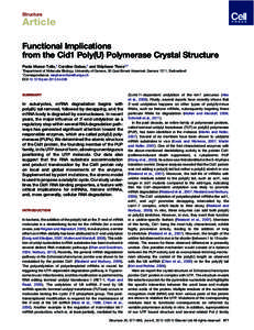 Structure  Article Functional Implications from the Cid1 Poly(U) Polymerase Crystal Structure Paola Munoz-Tello,1 Caroline Gabus,1 and Ste´phane Thore1,*