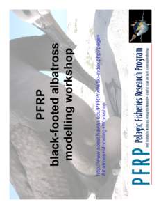 http://www.soest.hawaii.edu/PFRP/wiki/tiki-index.php?page= Albatross+Modeling+Workshop PFRP black-footed albatross modelling workshop
