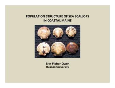 POPULATION STRUCTURE OF SEA SCALLOPS  IN COASTAL MAINE Erin Fisher Owen Husson University