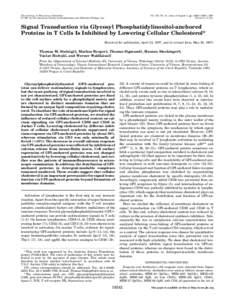 THE JOURNAL OF BIOLOGICAL CHEMISTRY © 1997 by The American Society for Biochemistry and Molecular Biology, Inc. Vol. 272, No. 31, Issue of August 1, pp[removed]–19247, 1997 Printed in U.S.A.