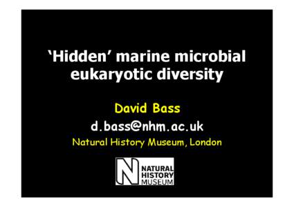 ‘Hidden’ marine microbial eukaryotic diversity David Bass [removed] Natural History Museum, London