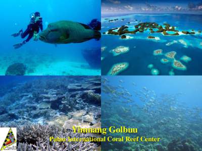 Yimnang Golbuu Palau International Coral Reef Center Ngerukewid Island Preserve Established 1956