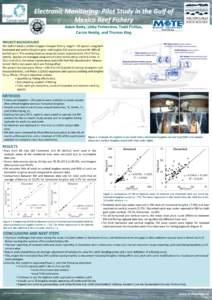 Electronic	
  Monitoring:	
  Pilot	
  Study	
  in	
  the	
  Gulf	
  of	
   Mexico	
  Reef	
  Fishery	
  	
  	
   Adam	
  Ba6y,	
  Libby	
  Fetherston,	
  Todd	
  Phillips,	
  	
   Carole	
  Neidig,	
