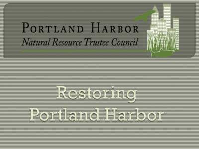  Background  Who on Portland Harbor  is the Trustee Council?