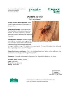 Woodlouse spider / Dysdera / Woodlouse / Spider / Dysderidae / Phyla / Protostome