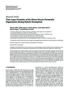 Time-Lapse Dynamics of the Mouse Oocyte Chromatin Organisation during Meiotic Resumption