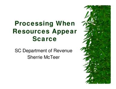 Processing When Resources Appear Scarce SC Department of Revenue Sherrie McTeer