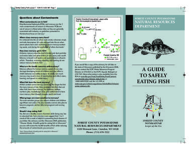 Hennepin County /  Minnesota / Perch / Yellow perch / Largemouth bass / Cedar Lake / Lake Como / Geography of Minnesota / Fish / Minneapolis–Saint Paul