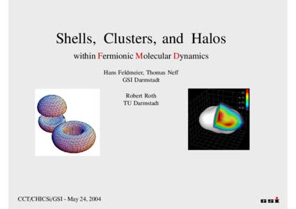Shells, Clusters, and Halos within Fermionic Molecular Dynamics Hans Feldmeier, Thomas Neff GSI Darmstadt Robert Roth TU Darmstadt
