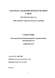 JANÁČKOVA AKADEMIE MÚZICKÝCH UMĚNÍ V BRNĚ DIVADELNÍ FAKULTA Ateliér rozhlasové a televizní dramaturgie a scenáristiky  V TIENI NOIRU