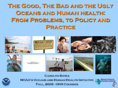 The Good, The Bad and the Ugly Oceans and Human health: From Problems, to Policy and Practice  QuickTime™ and a