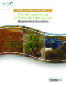 ESPÈCE MENACÉE AU QUÉBEC  Plan de conservation de l’aster du Saint-Laurent (Symphyotrichum laurentianum)