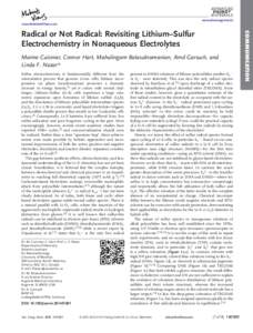 Radical or Not Radical: Revisiting Lithium&#x02013;Sulfur Electrochemistry in Nonaqueous Electrolytes