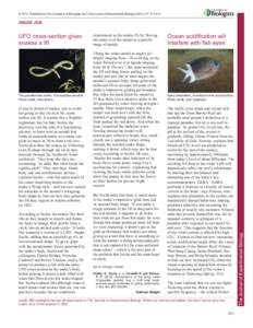© 2014. Published by The Company of Biologists Ltd │The Journal of Experimental Biology, INSIDE JEB The paradise tree snake, Chrysopelea paradise. Photo credit: Jake Socha.