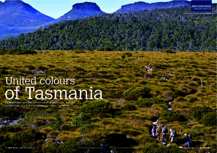 GREAT ICONIC WALKS OVERLAND TRACK, TAS WORDS AND PHOTOS_ELSPETH CALLENDER United colours