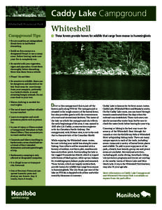 Caddy Lake Campground Whiteshell Provincial Park Campground Tips  Whiteshell