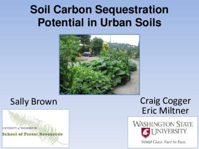 Soil Carbon Sequestration Potential in Urban Soils Sally Brown  Craig Cogger