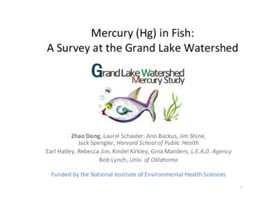 Mercury in Fish: A Survey at the Grand Lake Watershed