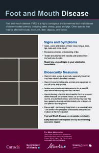 Foot and Mouth Disease Foot and mouth disease (FMD) is a highly contagious and sometimes fatal viral disease of cloven-hoofed animals, including cattle, sheep, goats and pigs. Other species that may be affected include, 