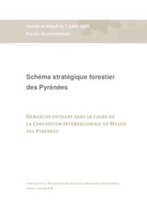 Comité de Massif du 7 juillet 2009 Dossier de présentation Schéma stratégique forestier des Pyrénées
